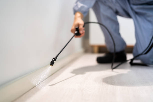Professional exterminator conducting IPM assessment in Aviston