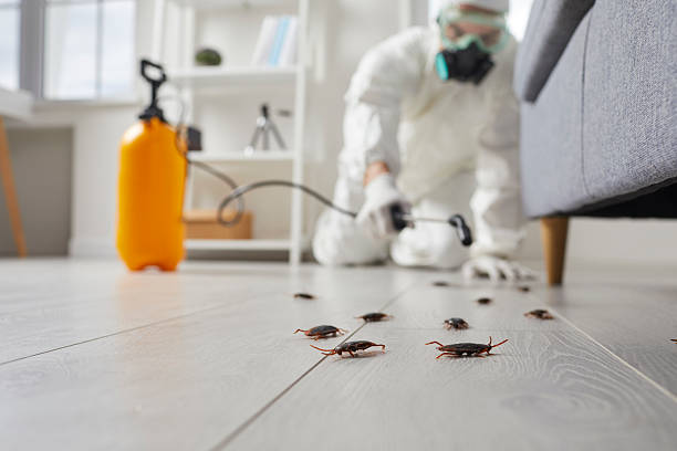 Commercial Kitchen Cockroach Control in Aviston